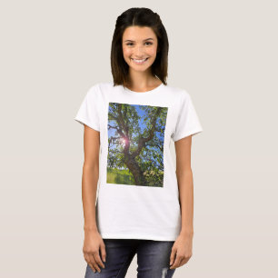 Camiseta Carvalho Azul à luz do sol Primavera