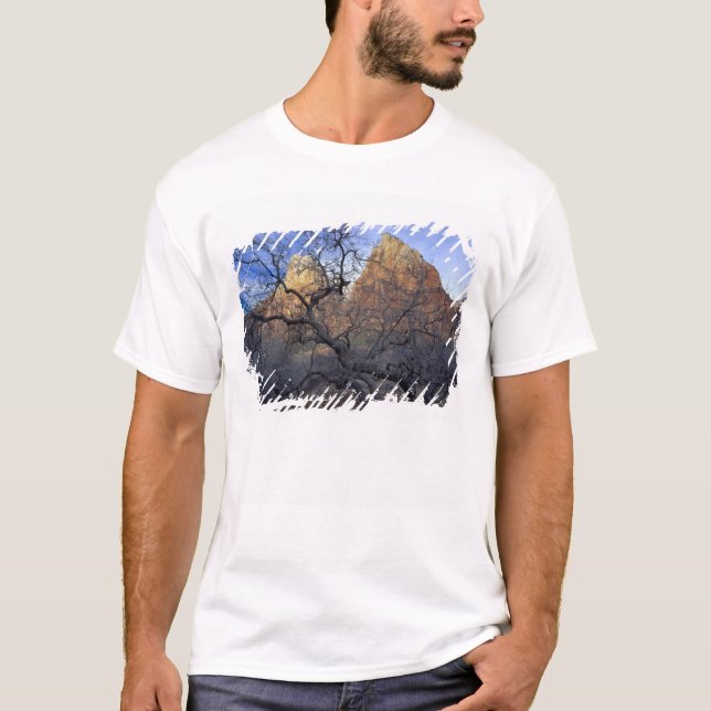 Camiseta Carvalhos no inverno, Corte dos Patriarcas (Frente)