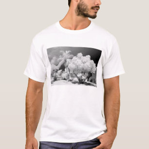 Camiseta Casa das Florida Keys e suas palmeiras, EUA. 2