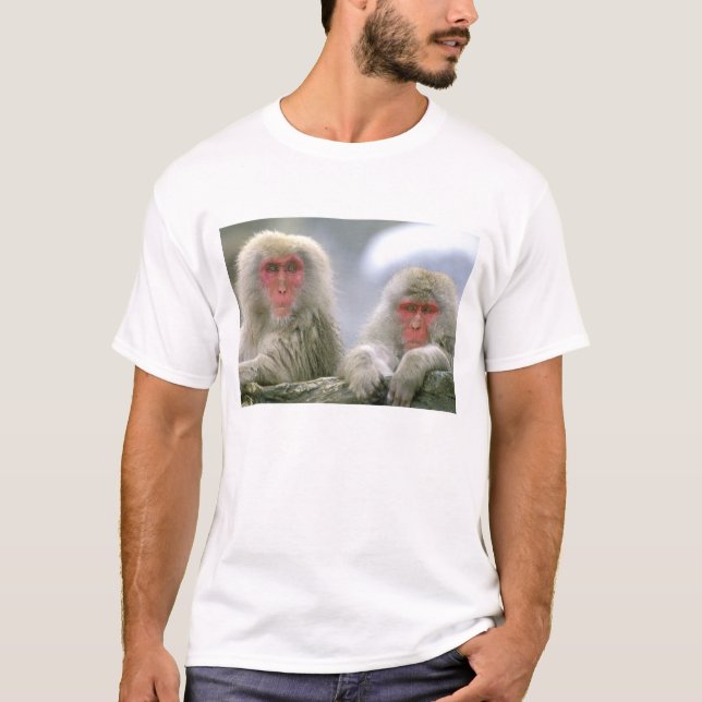 Camiseta Casal de Macaco da Neve, Macaco Japonês, (Frente)