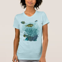 Cascas e Corais de Azul de Peixe