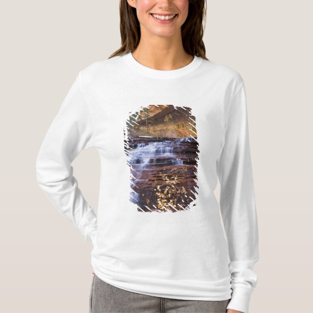 Camiseta Cascatas do Arcanjo no ramo esquerdo do (Frente)