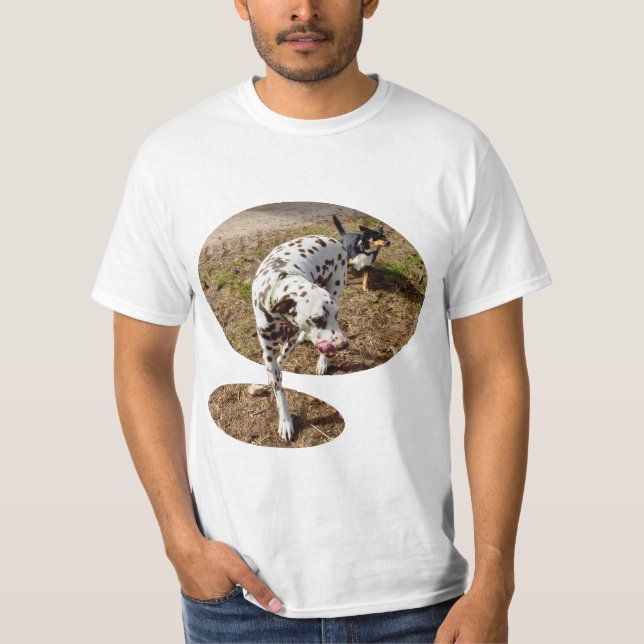 Camiseta Castanho E Branco Dalmaciano, (Frente)