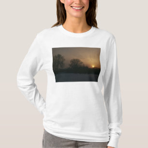 Camiseta Castelo Charlottenhof, por do sol