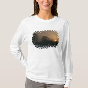 Camiseta Castelo Charlottenhof, por do sol