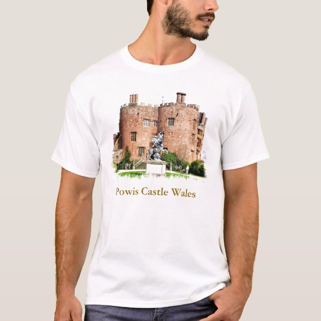 CAMISETA CASTELOS WELSH (Frente)