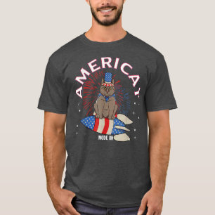 Camiseta Cat 4 de julho Mulher CatLover American Flag Cat