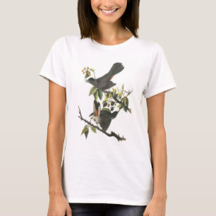 Camiseta Catbird cinzento por Audubon