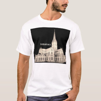 Camiseta catedral dos tomates