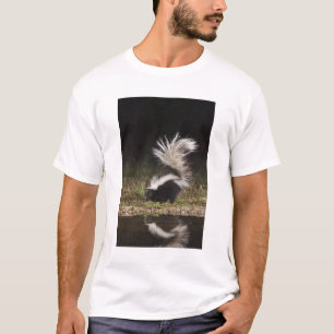 Camiseta Catingueira, Mephitis mephitis