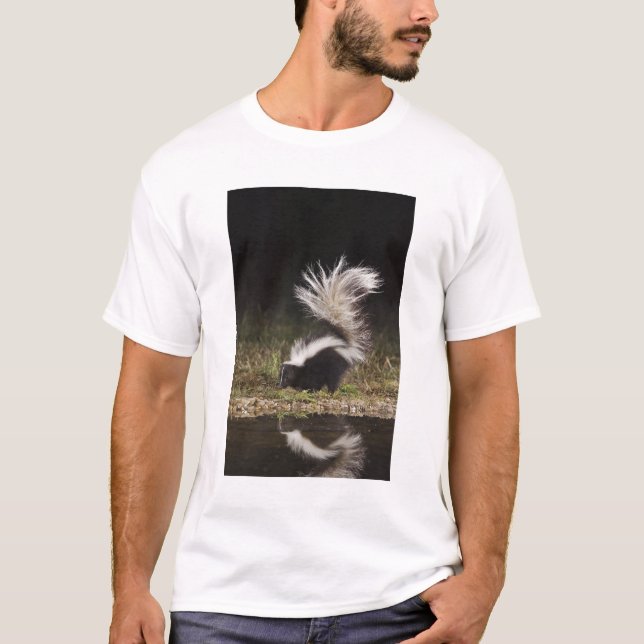Camiseta Catingueira, Mephitis mephitis (Frente)