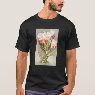 Camiseta Cattleya Mendelli Vintage, Duque de Marlborough Or