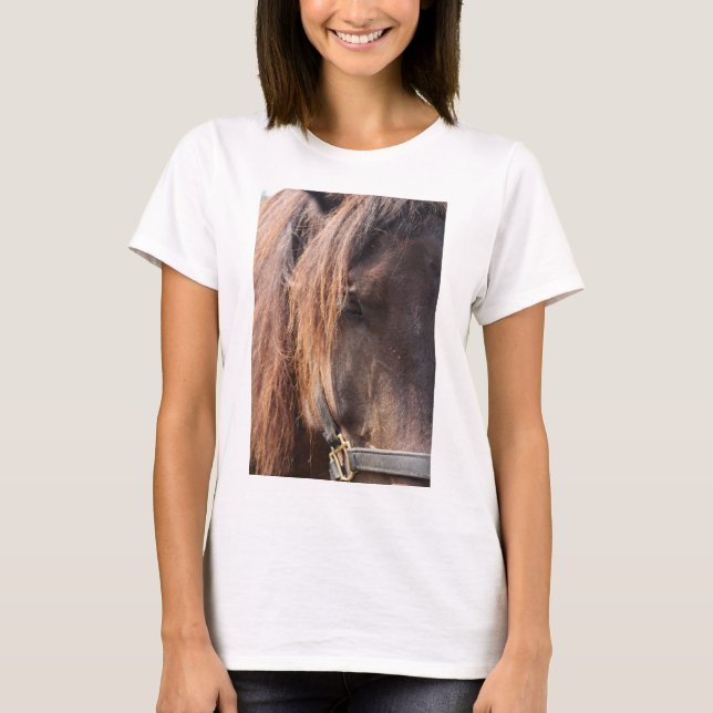 Camiseta Cavalo (Frente)