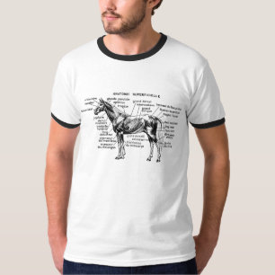 Camiseta Cavalo