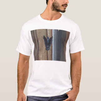 Camiseta Cavalo