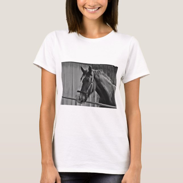 Camiseta Cavalo Branco Negro - Fotografia Animal (Frente)