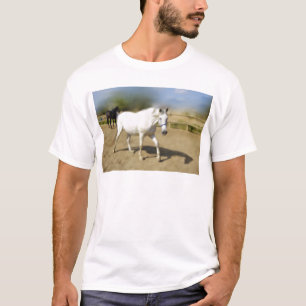 CAMISETA CAVALO BRANCO PINTADO