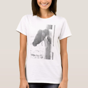 Camiseta Cavalo de Barn/Fotografia Preta e Branca