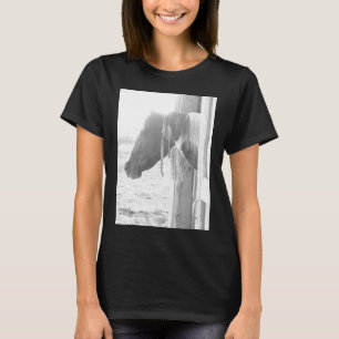 Camiseta Cavalo de Barn/Fotografia Preta e Branca