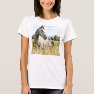 Camiseta Cavalo de cinza em Paddock Long Sleeve Ladies T-Sh