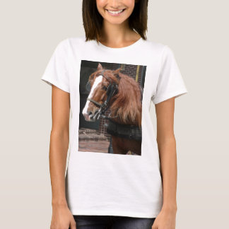 Camiseta Cavalo de esboço