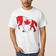 Cavalo de esboço canadense da bandeira