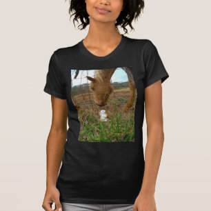 Camiseta cavalo & de flor do primavera coelho