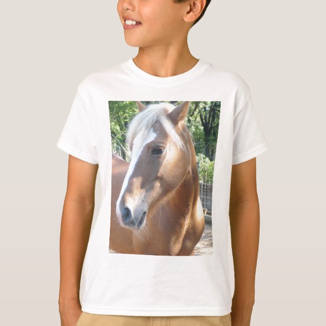 Camiseta Cavalo de Haflinger (Frente)