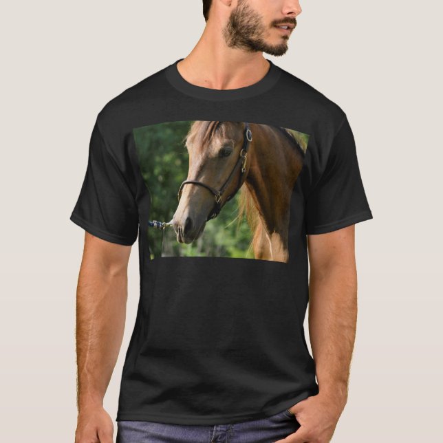 Camiseta Cavalo de Morgan do Buckskin (Frente)