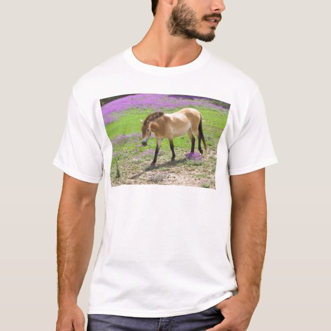 Camiseta Cavalo de Przewalski (Frente)