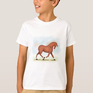 Camiseta Cavalo de Sorrel com Blaze e Meias