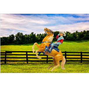 Camiseta Cavalo e Cowboy