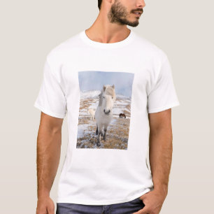 Camiseta Cavalo Islandês Branco, Islândia