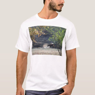 Camiseta Cavalo Marrom atravessando Cerca