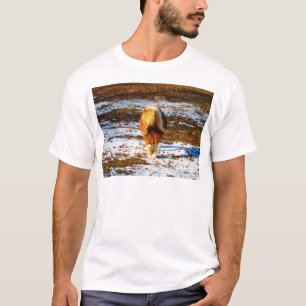Camiseta Cavalo marrom e minúsculo creme na neve.