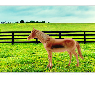 Camiseta Cavalo na Pastura