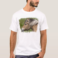 Cavalo norueguês do fiorde