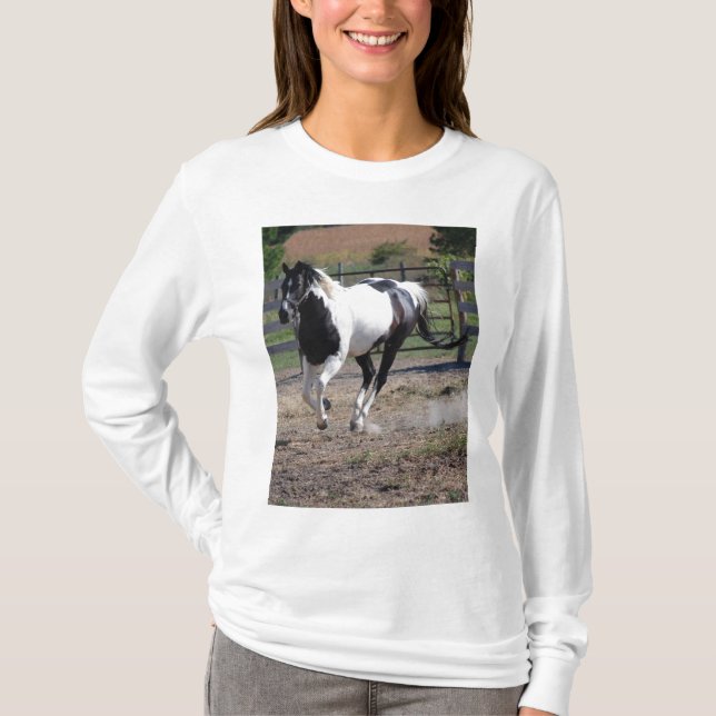 Camiseta Cavalo/Pintura (Frente)