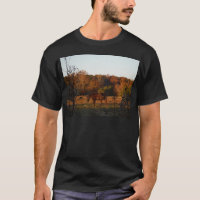 Cavalo Vermelho Brown, bosque de outono.