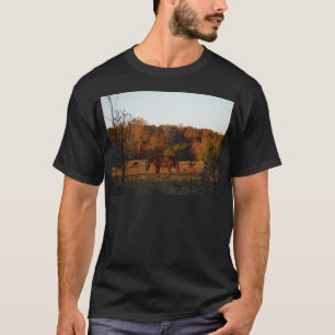 Camiseta Cavalo vermelho marrom, madeiras do outono