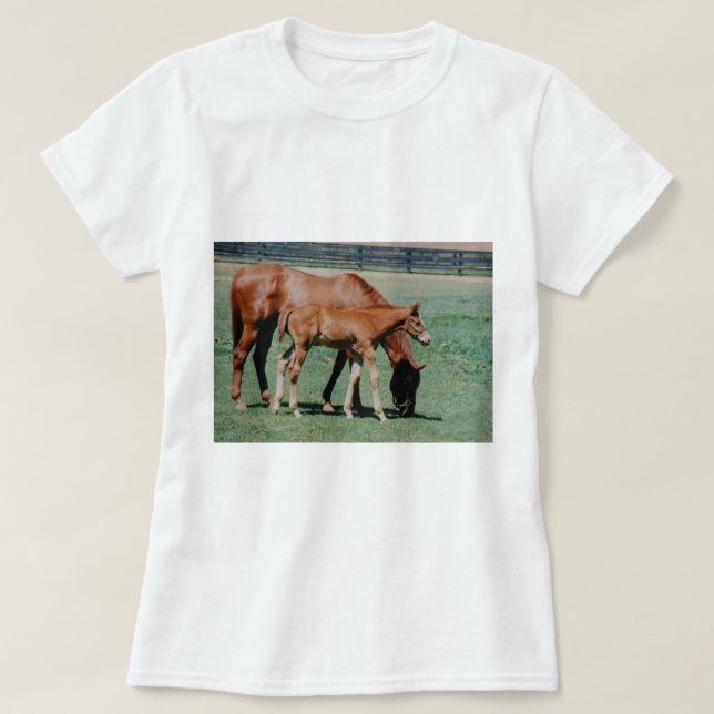 CAMISETA CAVALOS AMIGÁVEIS (Frente do Design)
