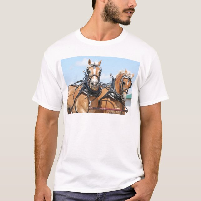Camiseta Cavalos belgas (Frente)