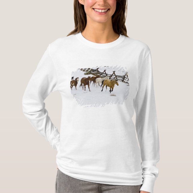 Camiseta Cavalos correndo na neve (Frente)