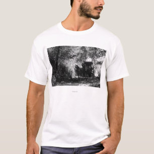 Camiseta Cavalos do frete que tomam uma ruptura