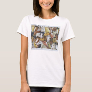 Camiseta Cavalos dos cavalos