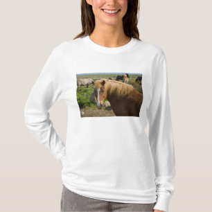 Camiseta Cavalos islandeses no nordeste da Islândia.