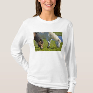 Camiseta Cavalos islandeses no oeste da Islândia.