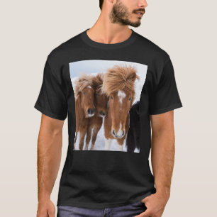 Camiseta Cavalos islandeses se aninham, Islândia