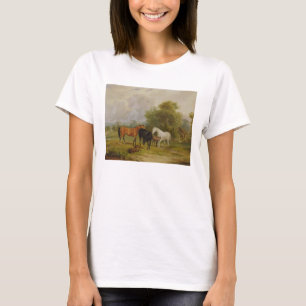 Camiseta Cavalos que pastam: Éguas e potros em um campo