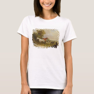 Camiseta Cavalos que pastam: Um garanhão cinzento que past